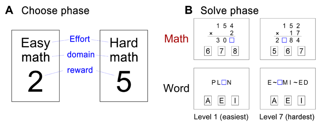 Choose-And-Solve Task